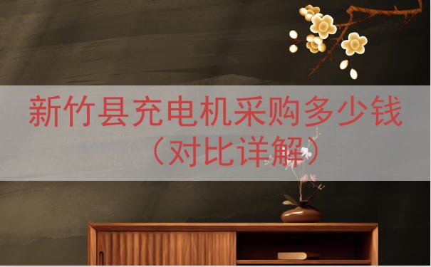 新竹县充电机采购多少钱（对比详解）